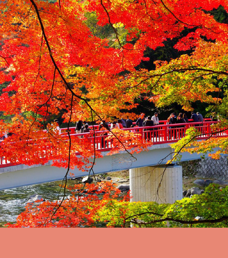 ธรรมชาติ