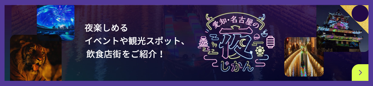 愛知県の公式観光ガイドAichiNow