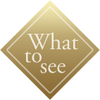 What to look for?
