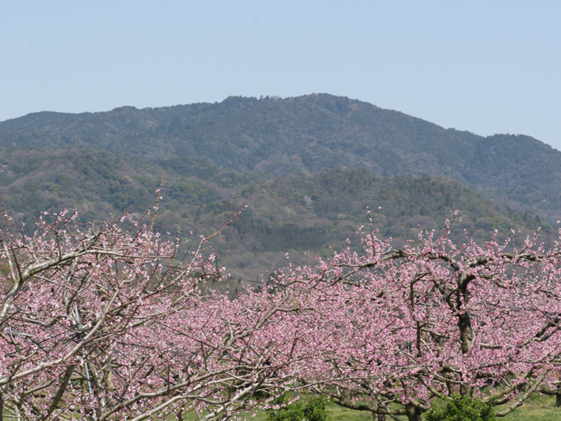 ภูเขาซานาเกะ