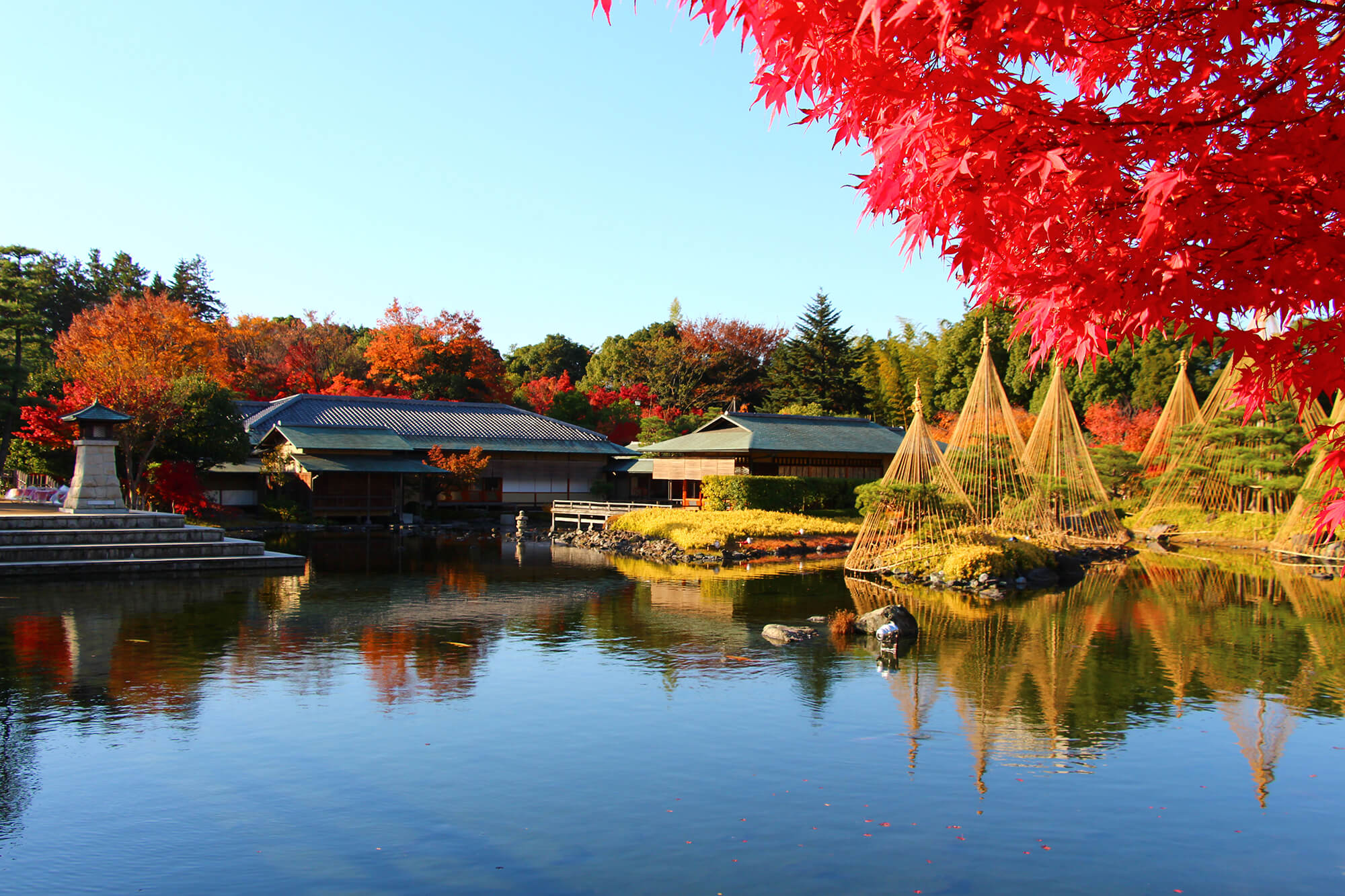 白鳥庭園