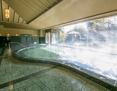 Inuyama Onsen Hot Spring (Inuyama City)