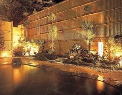 Sanage Onsen Hot Spring (Toyota City)