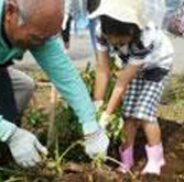 美しい自然の中で体験しよう ！