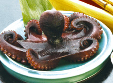 たこ料理(南知多)