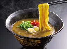 豊橋カレーうどん(豊橋)