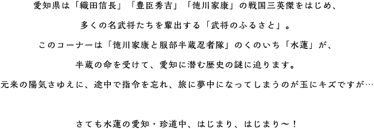愛知県は「織田信長」「豊臣秀吉」「徳川家康」の戦国三英傑をはじめ、多くの名武将たちを輩出する「武将のふるさと」。このコーナーは「徳川家康と服部半蔵忍者隊」のくのいち「水蓮」が、半蔵の命を受けて、愛知に潜む歴史の謎に迫ります。元来の陽気さゆえに、途中で指令を忘れ、旅に夢中になってしまうのが玉にキズですが…さても水蓮の愛知・珍道中、はじまり、はじまり～！