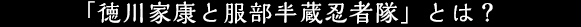 「徳川家康と服部半蔵忍者隊」とは？