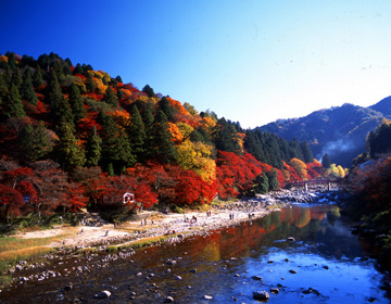 香嵐渓・足助城・三州足助屋敷・足助の町並み(重伝建の町並み)