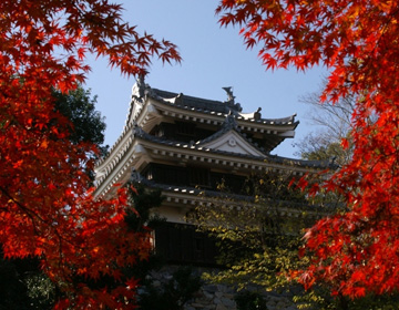 西尾城と旧近衛邸(西尾市歴史公園)