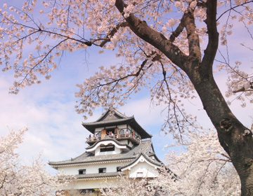 National Treasure Inuyama Castle