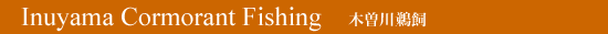 Inuyama Cormorant Fishing