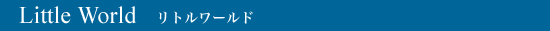 Little World
