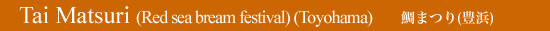 Tai Matsuri (Red sea bream festival) (Toyohama)