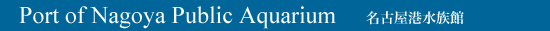 Port of Nagoya Public Aquarium, the largest classroom in the world