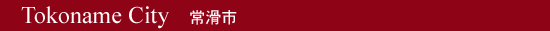 Tokoname City