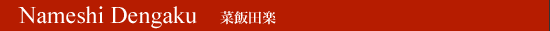 Nameshi Dengaku