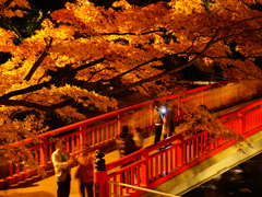 Toyota City Korankei / Old Streets of Asuke / Asuke Castle / Sanshu Asuke Yashiki