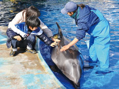Nagoya City Port of Nagoya Public Aquarium