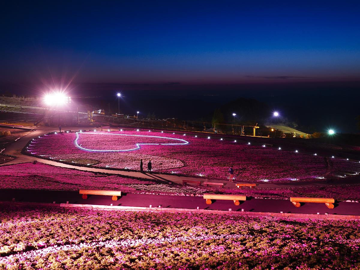 Bunga yang Fotogenik