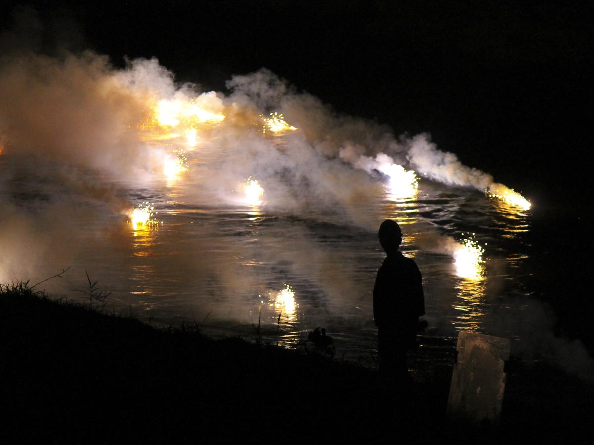 Kembang api ikan mas