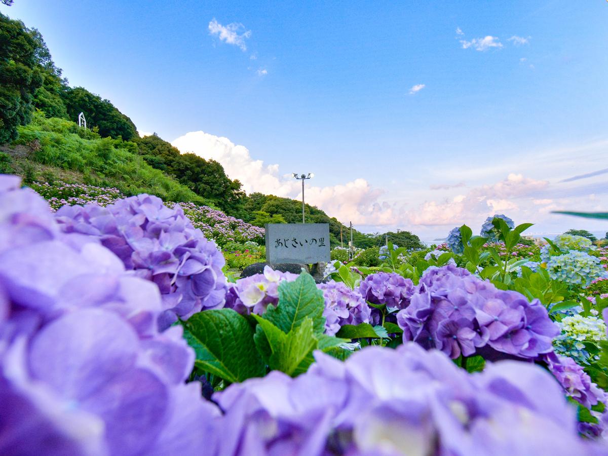 "Desa Hortensia Pemandian Air Panas Katahara"