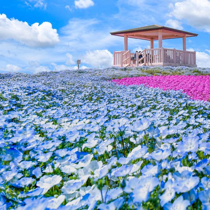 จุดถ่ายรูป