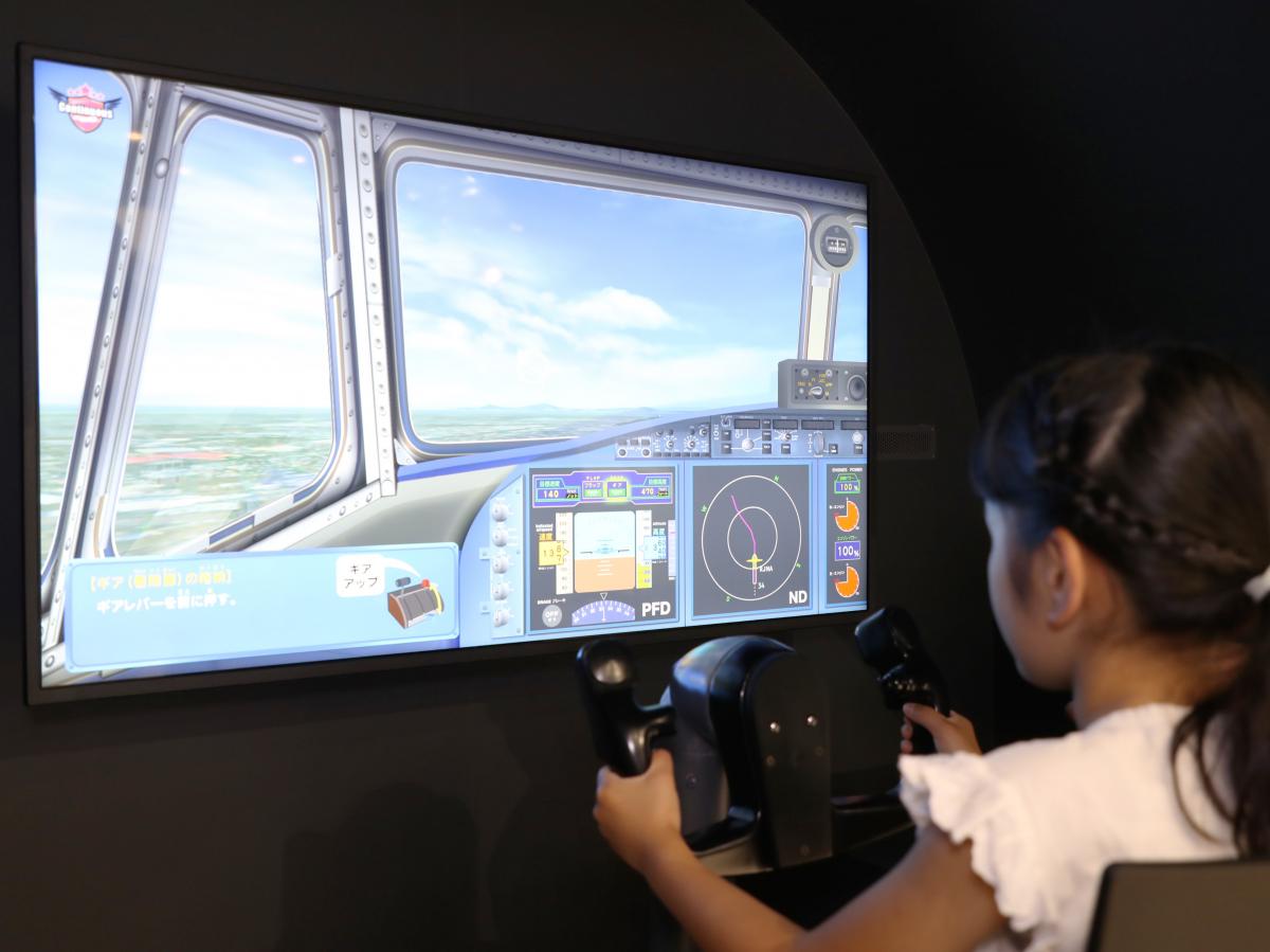 Flight simulators