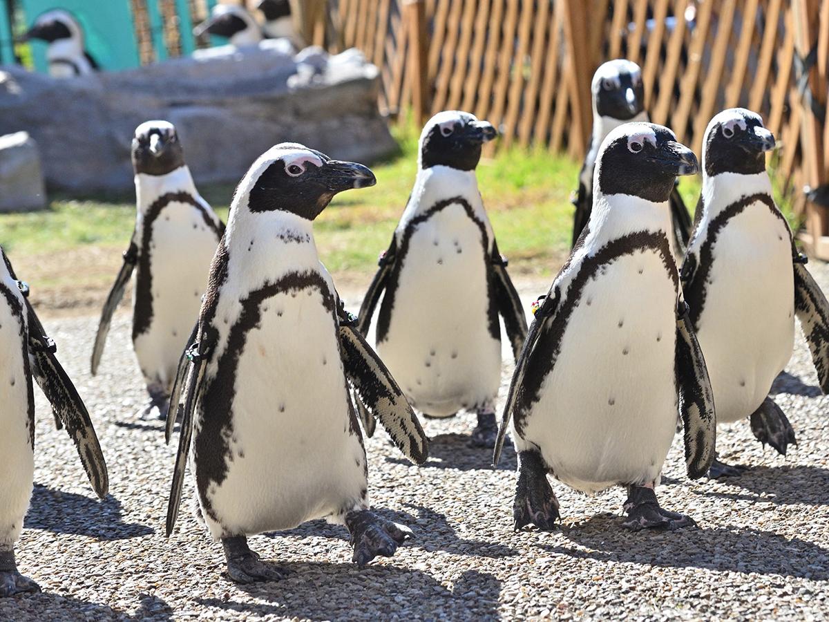 名古屋港水族馆