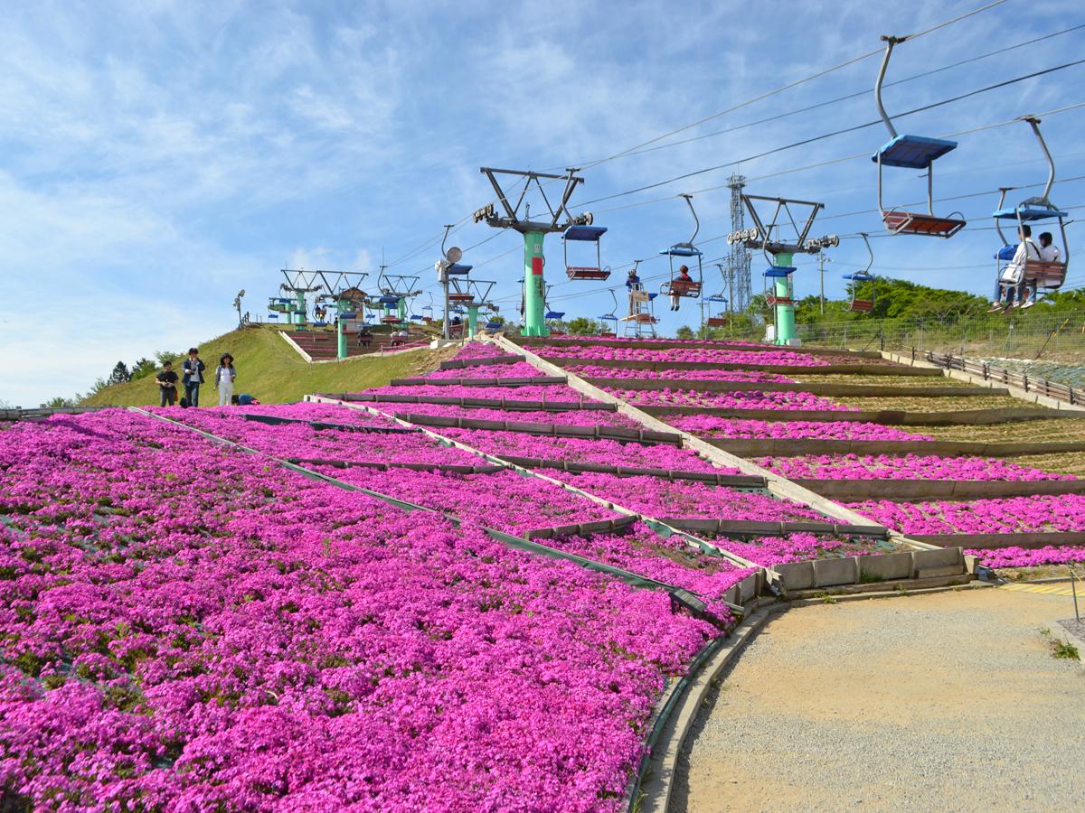 Festival Chausuyama Kogen Musim Semi “Chausuyama Kogen”