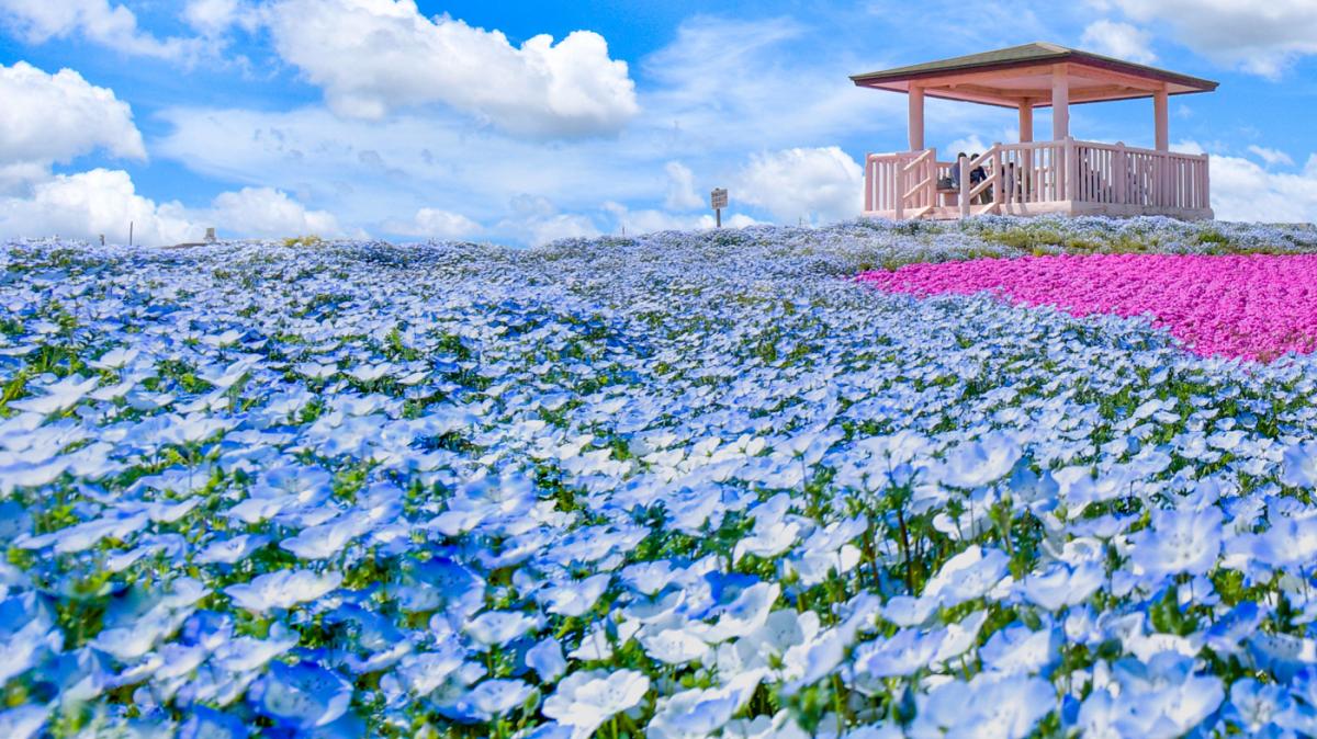 จุดถ่ายรูป