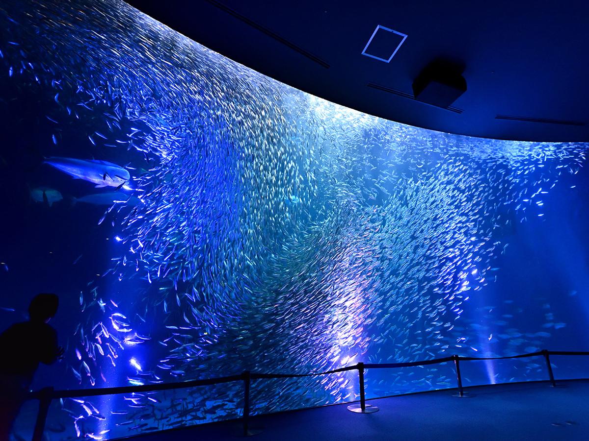 名古屋港水族馆