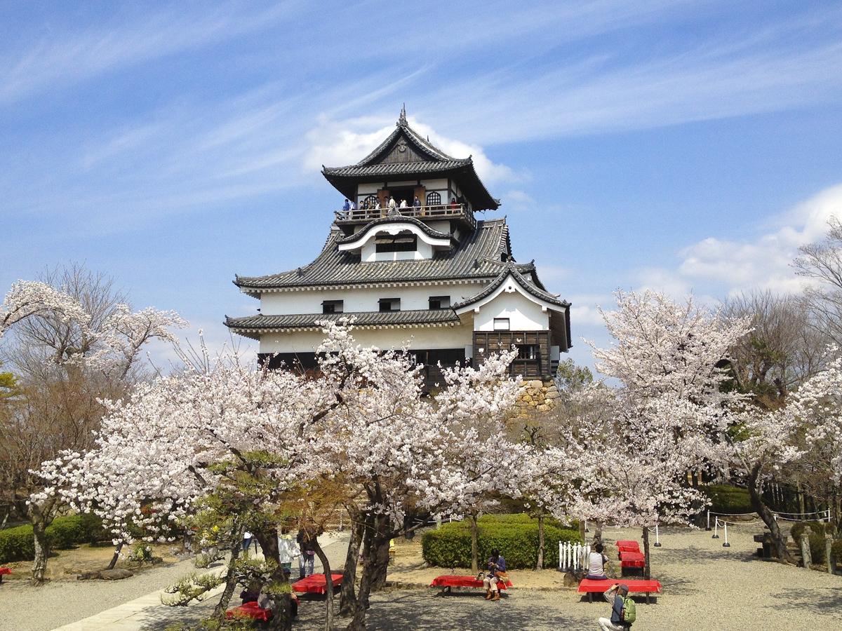 National Treasure Inuyama Castle