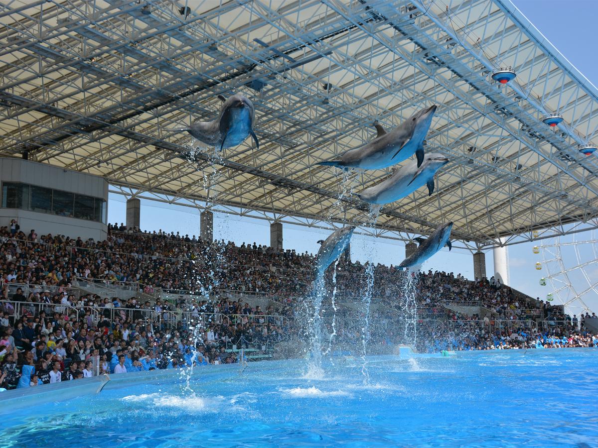 名古屋港水族馆