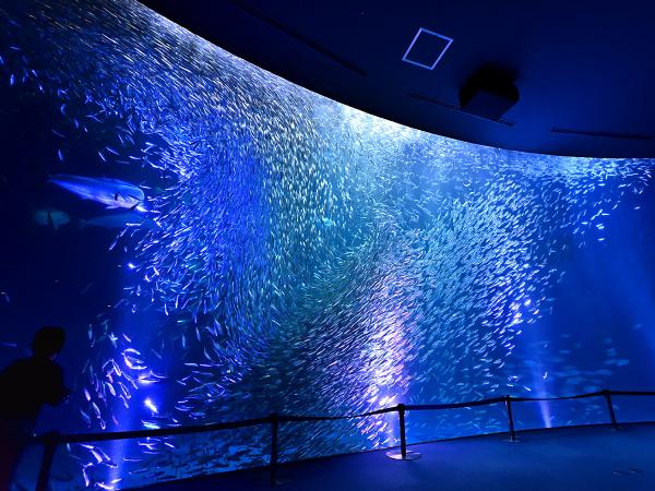 名古屋港水族馆