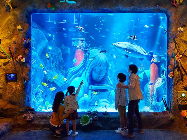 【水族馆】SEA LIFE Nagoya