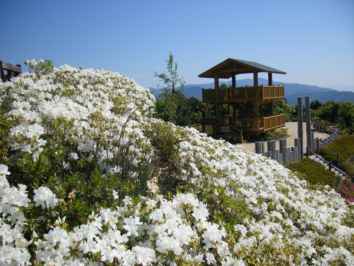 東三河ふるさと公園 ふるさと春まつり