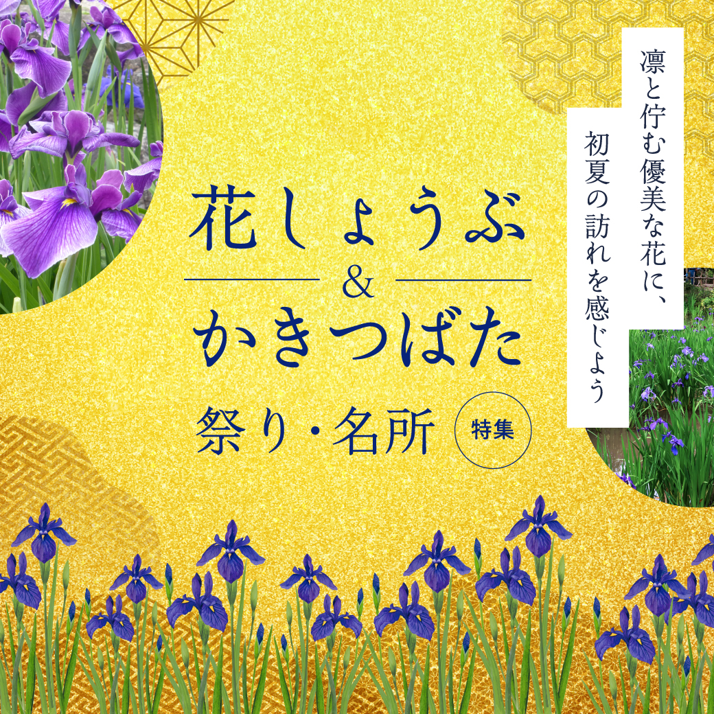 花しょうぶ祭り・名所特集