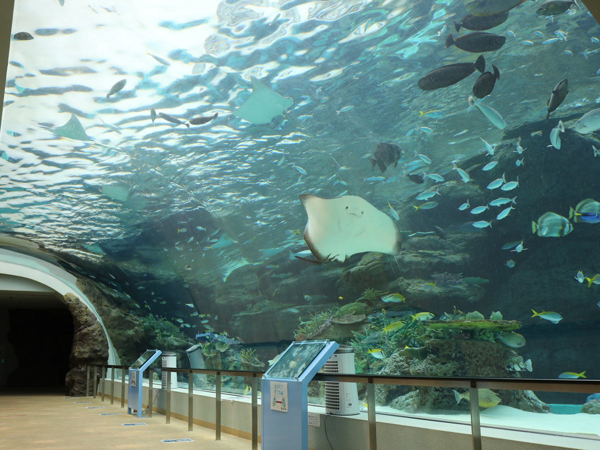 名古屋港水族館