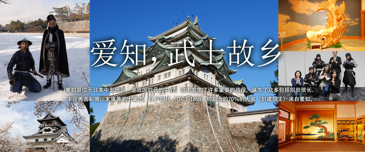 爱知，武士故乡,侍,SAMURAI