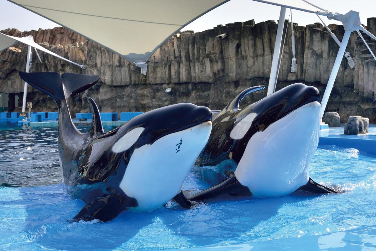 Port of Nagoya Public Aquarium