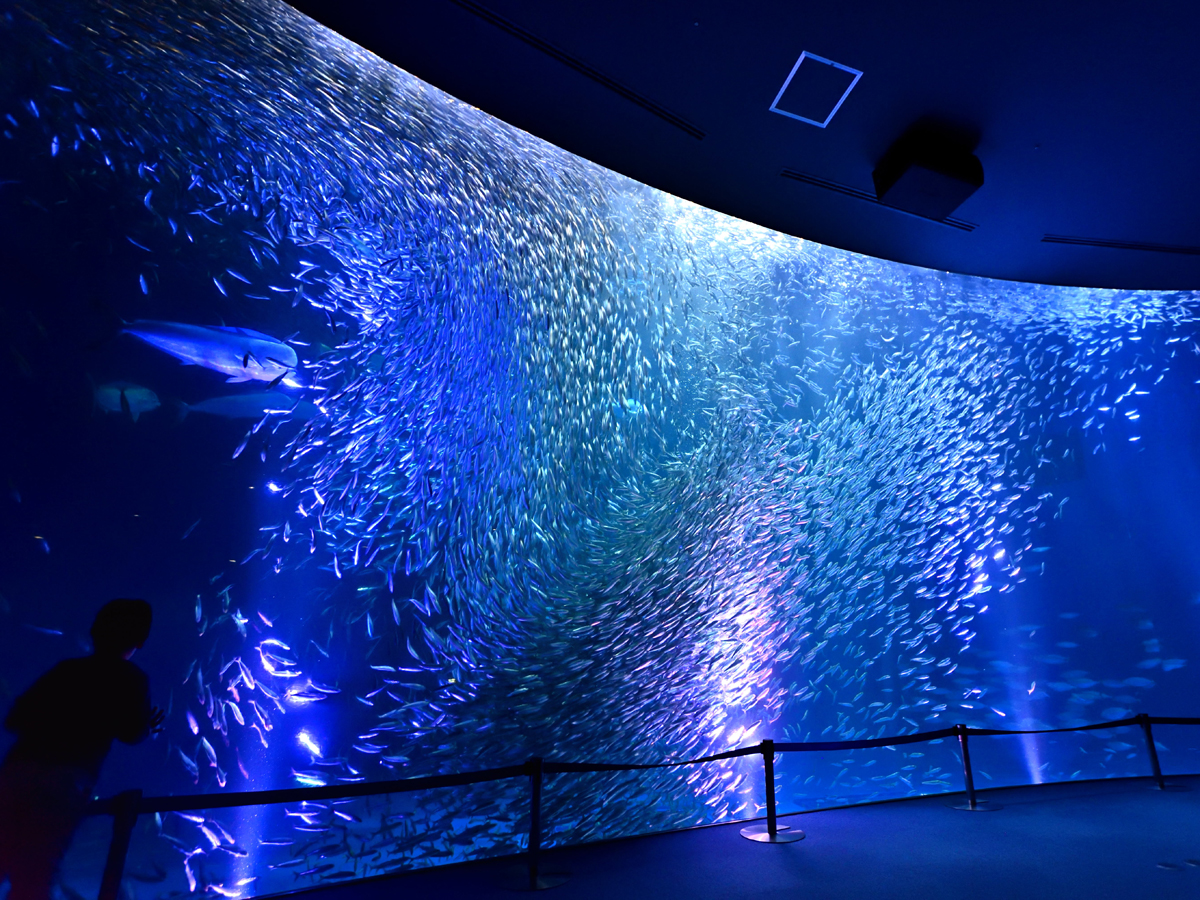 名古屋港水族館