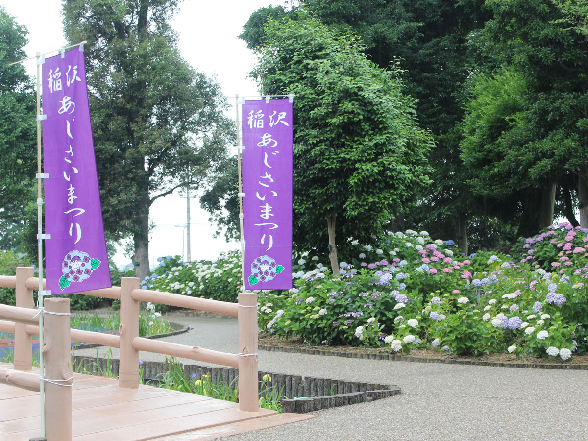 稲沢あじさいまつり