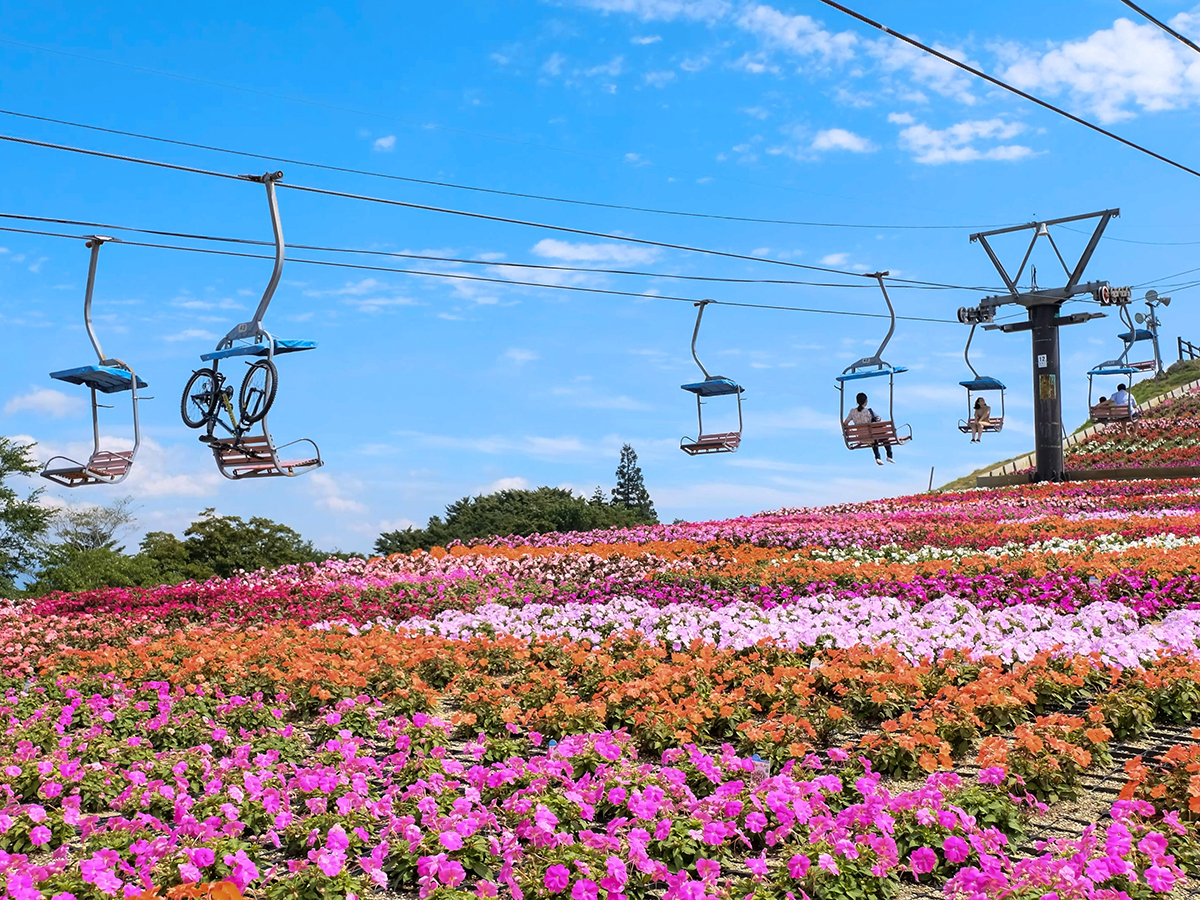 차우스야마 고원