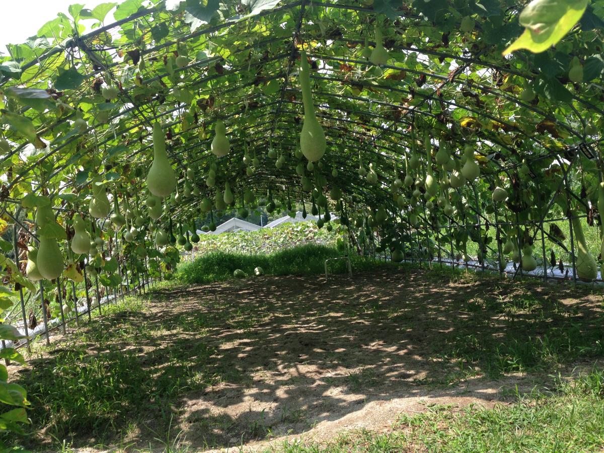 名古屋市農業センター delaふぁーむ