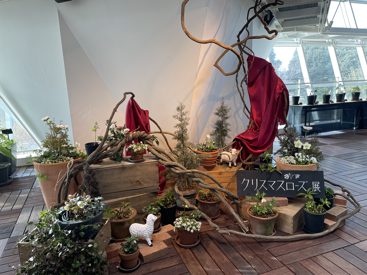 フラワーパーク江南