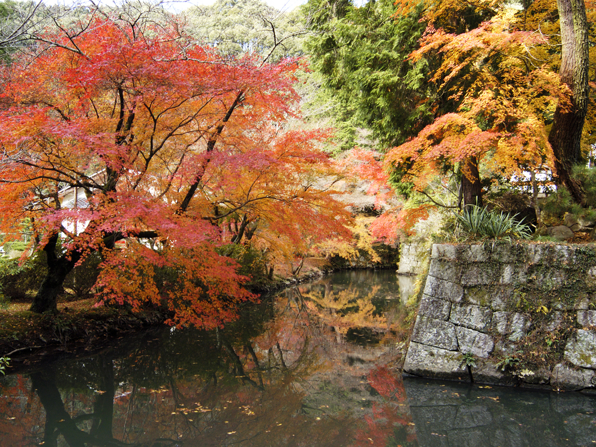 松平东照宫・松平乡