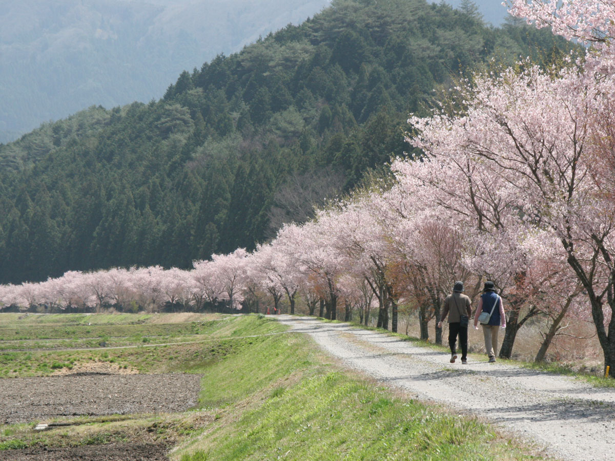 公路休息站Aguri Station春日祭