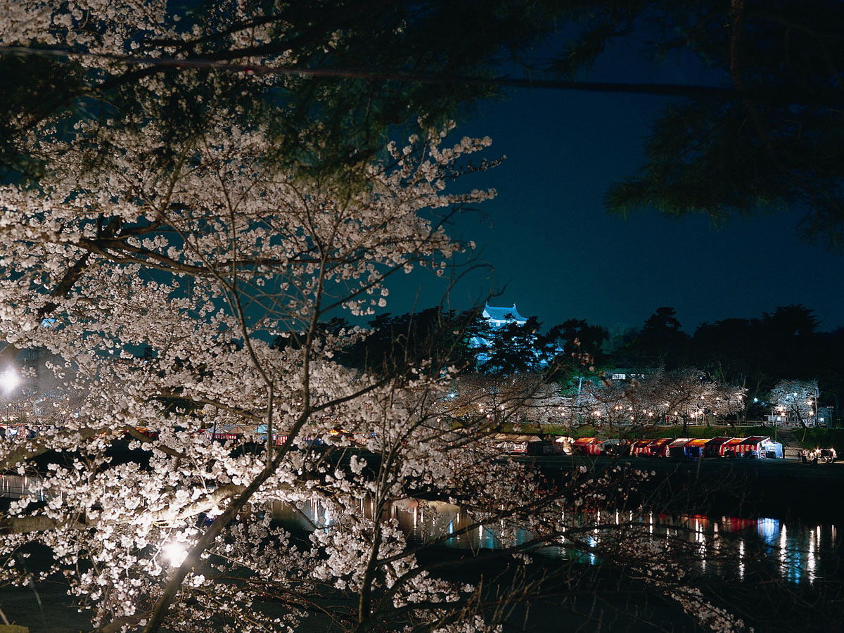 岡崎城下賞花泛舟