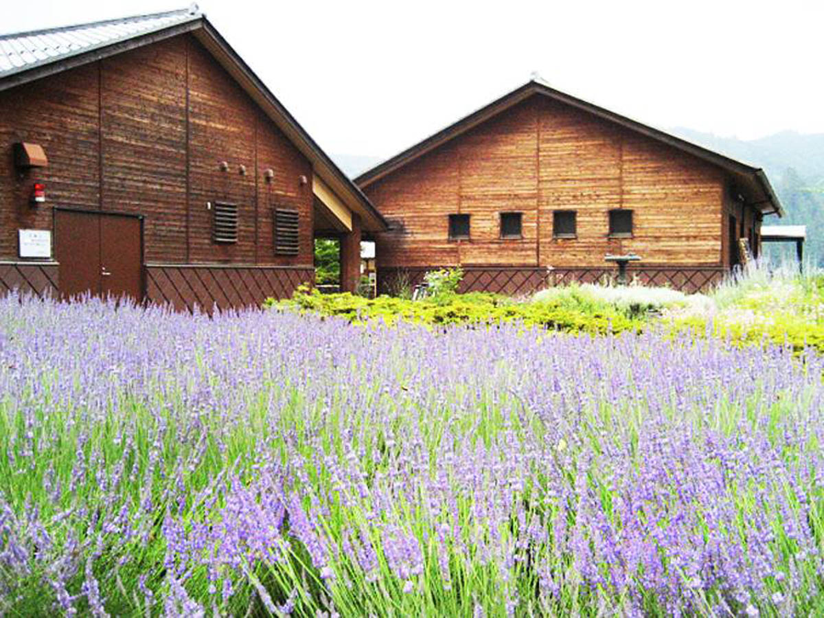 道の駅「どんぐりの里いなぶ」